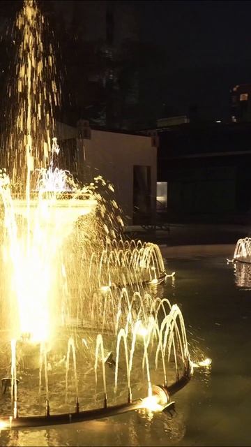 Цветодинамический фонтан Ротонда, 20х14 м, Парк имени 1 мая, г. Ростов-на-Дону