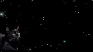 Зеленое сияние