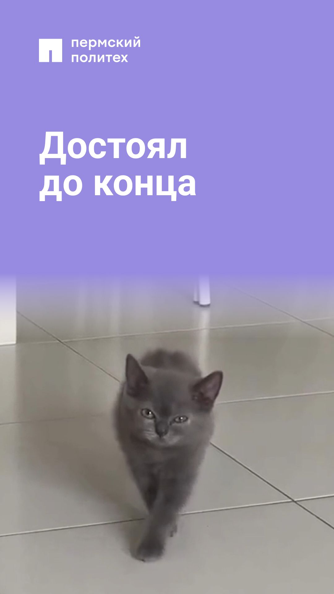 Теперь я свободен и иду на покой