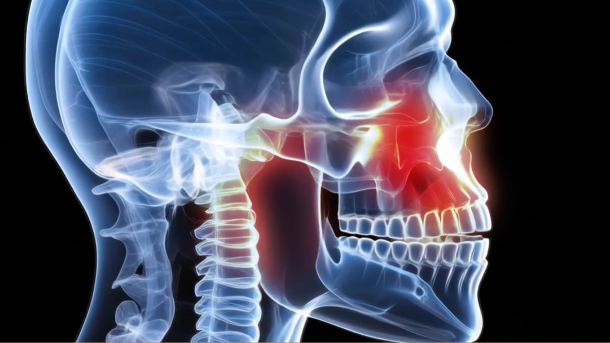 Стоматологический чек-ап зубочелюстной системы за один визит