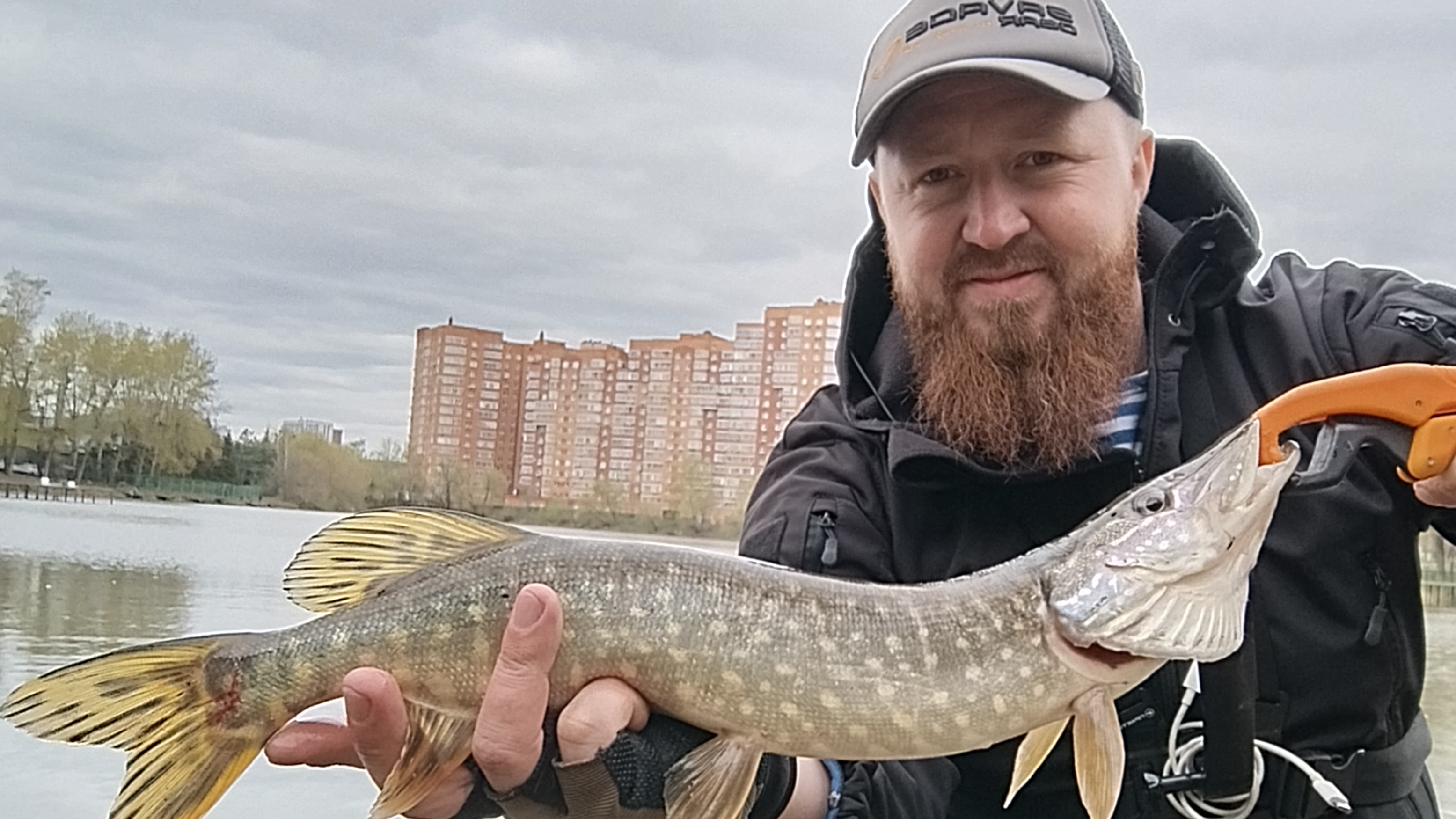 сегодня 3 щуки белая дача рыбалка