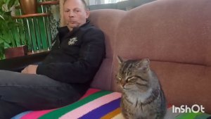 А что в теплице. Высадила вишню. Жизнь в деревне