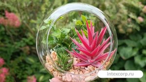 Флорариум-шар с искусственными растениями БОЛЛЕ, 13х12 см, HZ1953390-2.