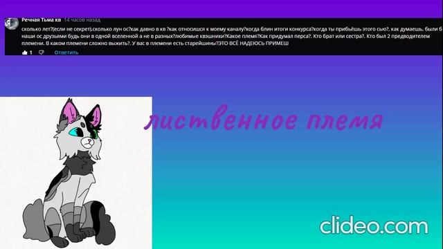 все видосы клидео