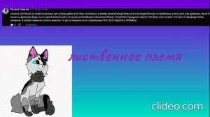 все видосы клидео