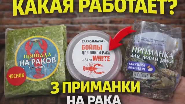 Какая приманка ловит рака? Подготовка к проверке.