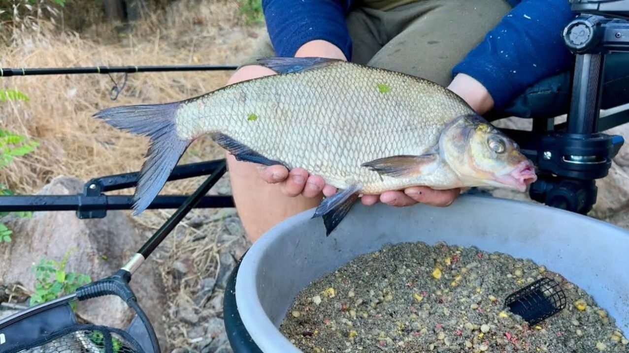 ОГРОМНЫЕ ЛЕЩИ НА ФИДЕР!!!ОЧЕНЬ КРУТАЯ РЫБАЛКА на леща