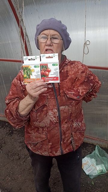 Готовлю теплицу для высадки рассады.