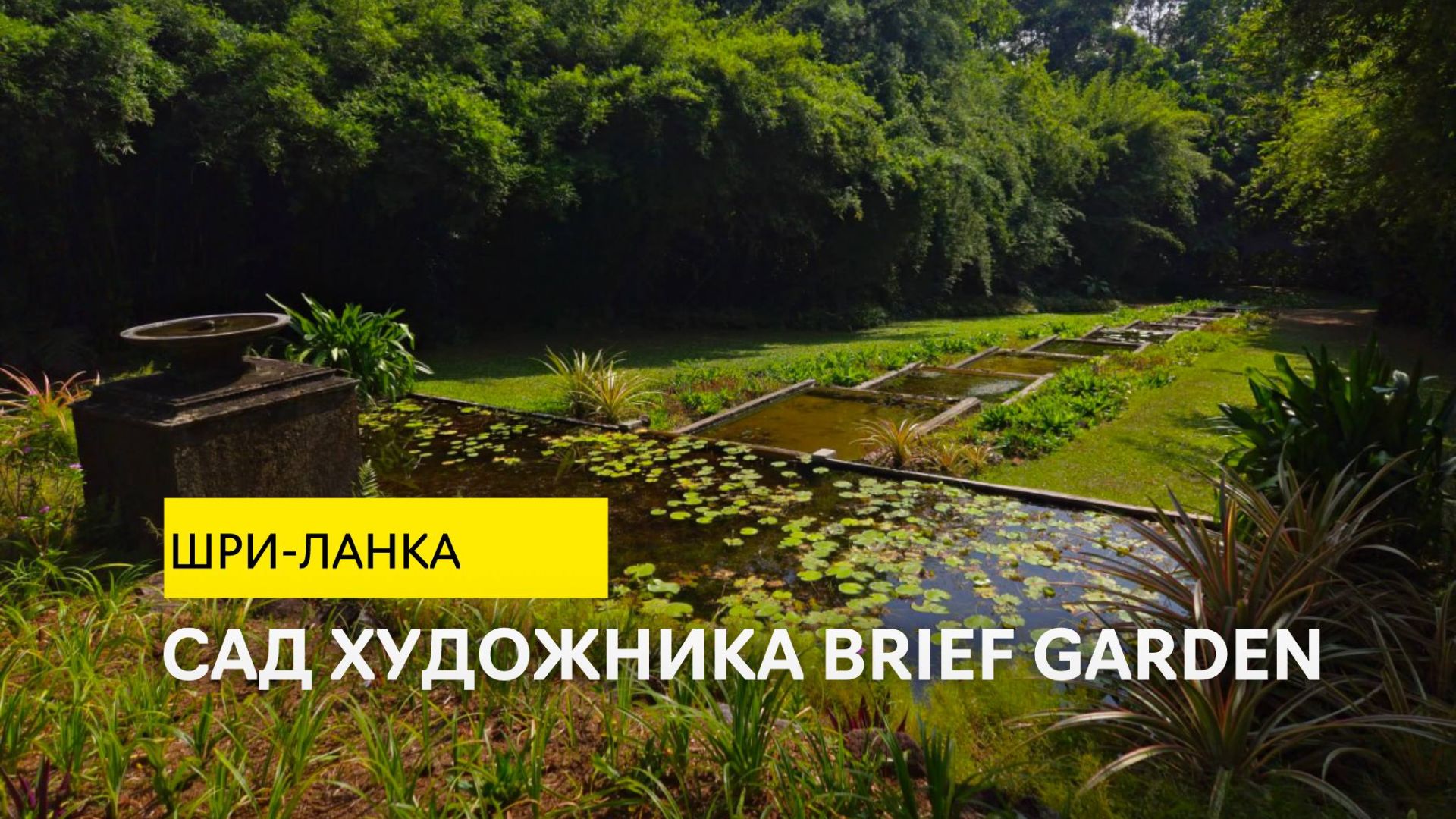 Почему этот хаотичный сад изучают ландшафтные архитекторы