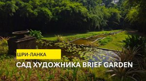 Почему этот хаотичный сад изучают ландшафтные архитекторы