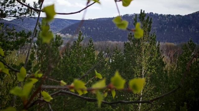 Царев Курган апрель