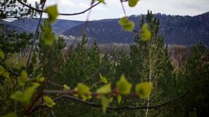 Царев Курган апрель