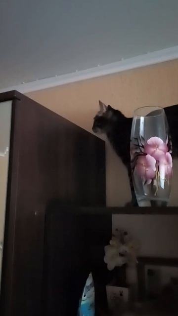 23 апреля 2026 г.