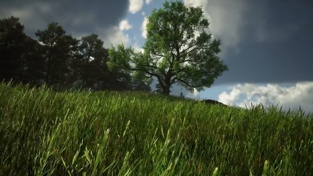  Hogwarts Magical Spring Blossom - Music  Ambience For Relaxation