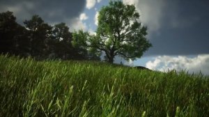 📹 Hogwarts Magical Spring Blossom - Music & Ambience for Relaxation