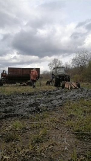 Трактор МТЗ-80 в действии!
