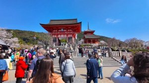 Киото очарование старых улиц и атмосфера древней Японии прогулка по городу