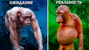 Насколько Обезьяны Сильнее Людей? Научный Разбор Мифа