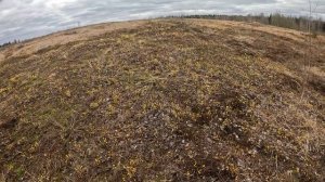 Мамкин эндурист. Просмотр Лайт