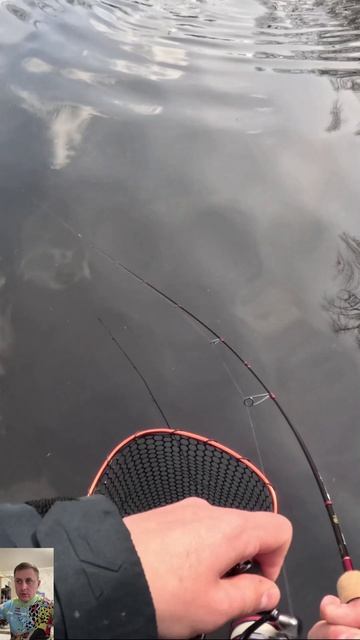 #2 Клёвое Место ловим форель с котла