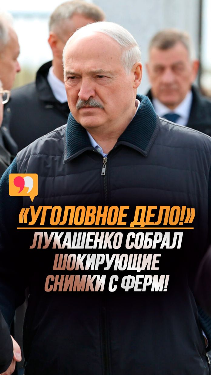 Лукашенко: Поразила вот эта фотография! ЭТО ЧТО?! // Ужасные условия содержания скота! #shorts