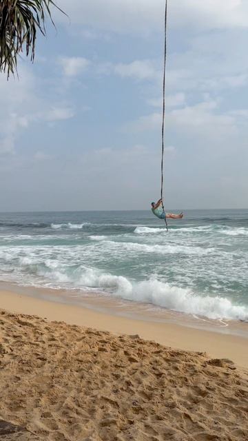 Dalawella Beach Sri Lanka Качели на пальме #shorts