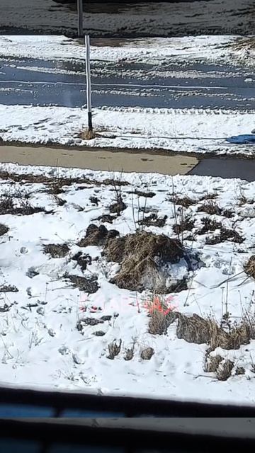 Потепление началось8 ура-а-а 