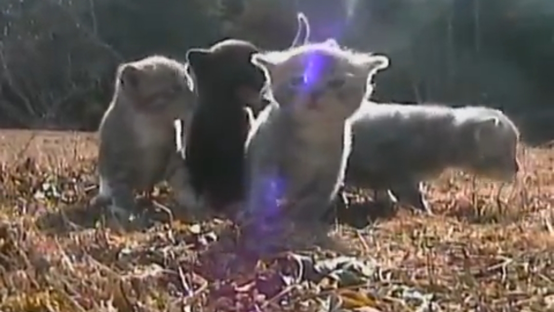 Приятно снова быть с тобой на прогулке