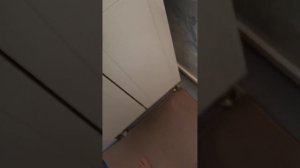 VID_20260424_113920.mp4