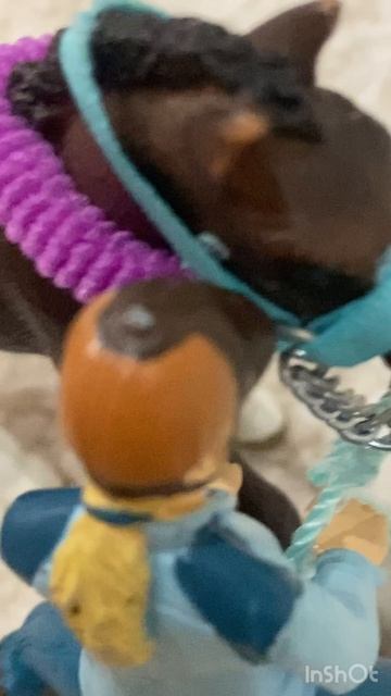 вечер перед днём рождения састь 2