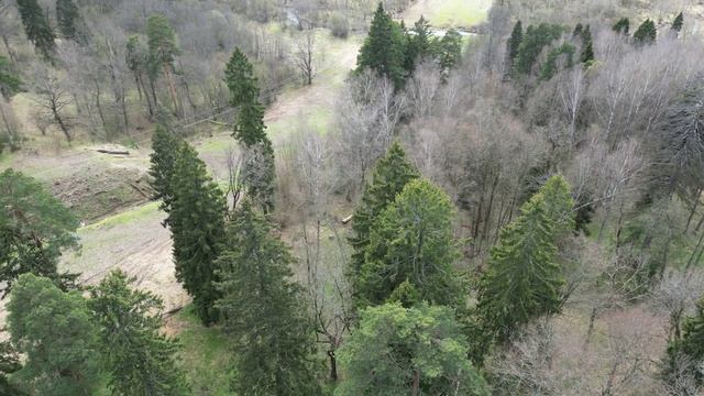 98 соток у монастыря Звенигород