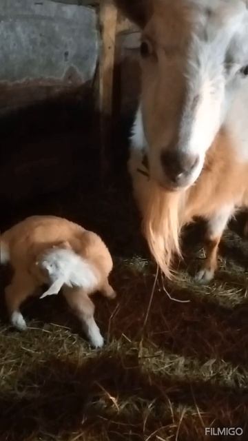 Двойное пополнение 😊😊😊