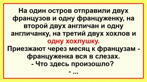 Про необитаемый остров! Подборка Пикантных, Остреньких, Жизненных Анекдотов! Юмор! Смех! Позитив!