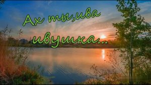 Ах ты, ива ивушка...