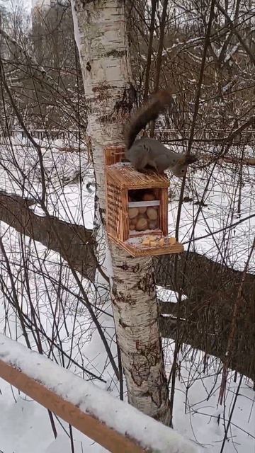 Парк Яуза #умнички