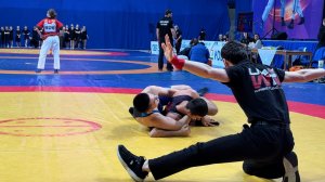 Фестиваль борьбы памяти Владимира Жириновского