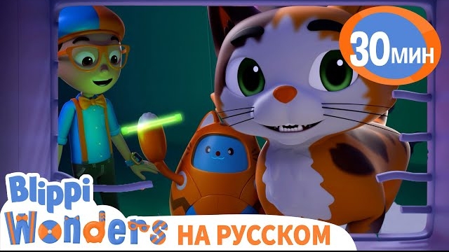 Зачем кошке УСЫ? Обучающие мультики для детей. Blippi Russian