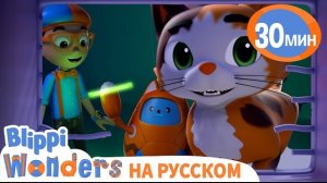 Зачем кошке УСЫ? Обучающие мультики для детей. Blippi Russian