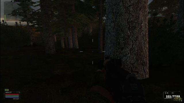 Кривая дорога.Сталкер. Пропавшее оружие.