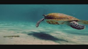 Marshmello, Avicii, Coldplay, Martin Garrix & Kygo, The Chainsmokers Style - Summer Vibes #3-(1080p3