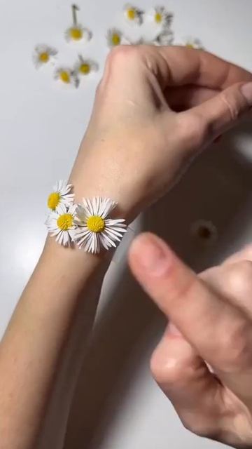 MOV_20260424_163042_982.mp4