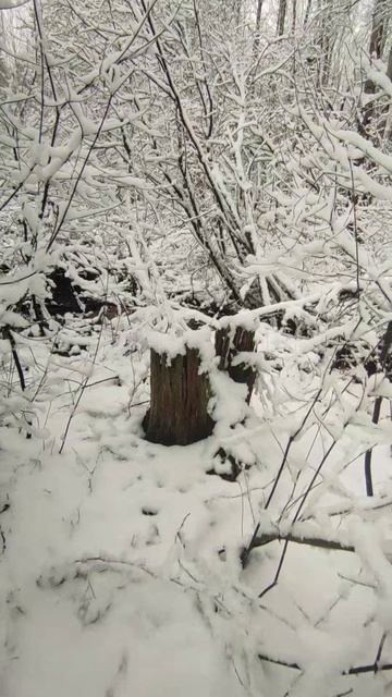 23 Апреля 2026