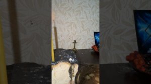 #От отеков ног.