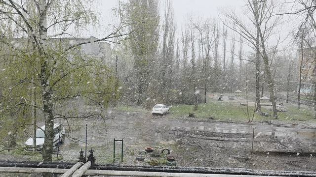 Снег в апреле (Саратовская область)