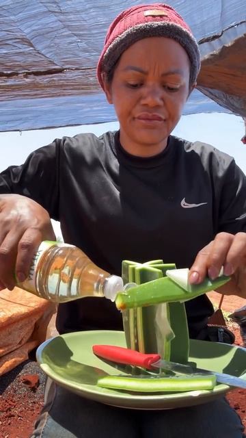 Кактусы,это не просто куча иголок...