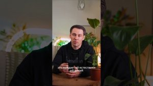 Стрелиция Николая: как вырастить гигантский «райский цветок» в квартире