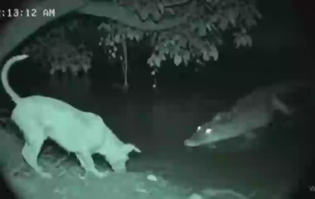 Для тех, кто ещё не уверовал