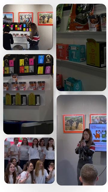 О проекте Gangwon style 2025