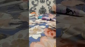 Влог учителя