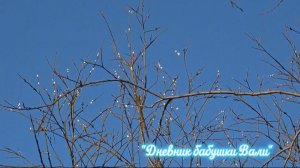 Воргашор. Потихоньку к нам весна крадется.